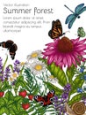 Vector illustration of summer forest flowers and insects